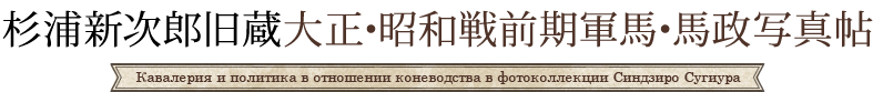 杉浦新次郎旧蔵大正・昭和戦前期軍馬・馬政写真帖/Кавалерия и политика в отношении коневодства в фотоколлекции Синдзиро Сугиура